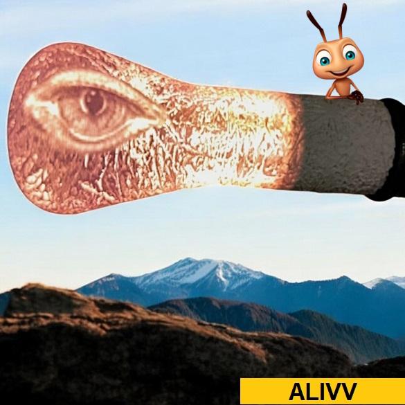 Alivv 1