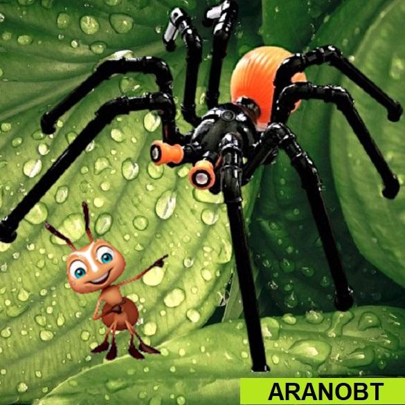 Aranobt