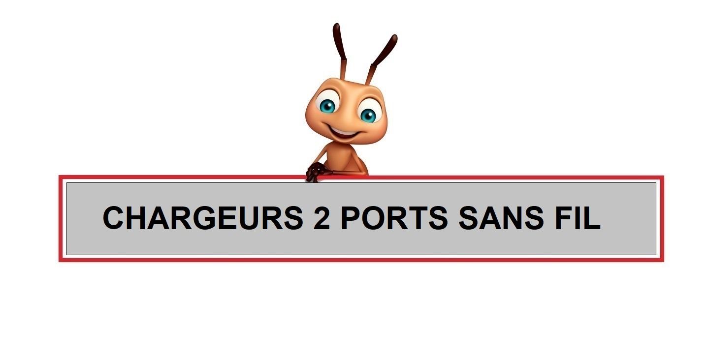 Chargeurs 2 ports sans fil