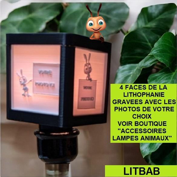 Litbab 1