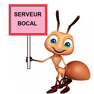 Serveur bocal