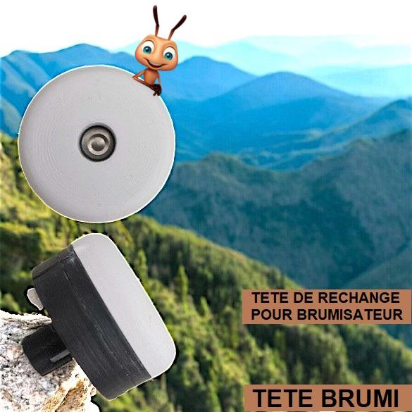 Tete brumi 3