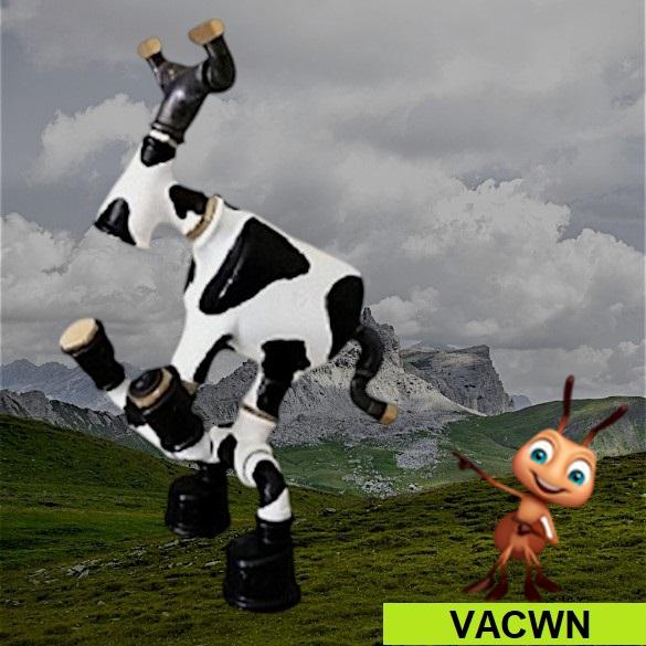 Vacwn